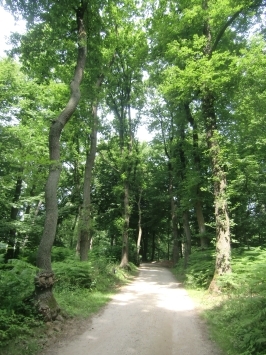 Groesbeek NL : Heilig-Landstichting, Profetenlaan, Museumpark Orientalis, Museumparkanlage